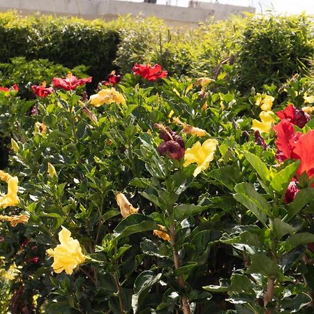 Hospedaje El Girasol Tababela Quito Kültér fotó