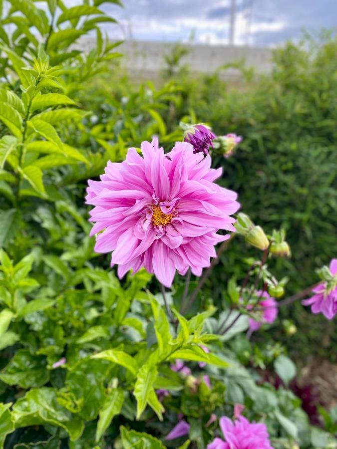Hospedaje El Girasol Tababela Quito Kültér fotó