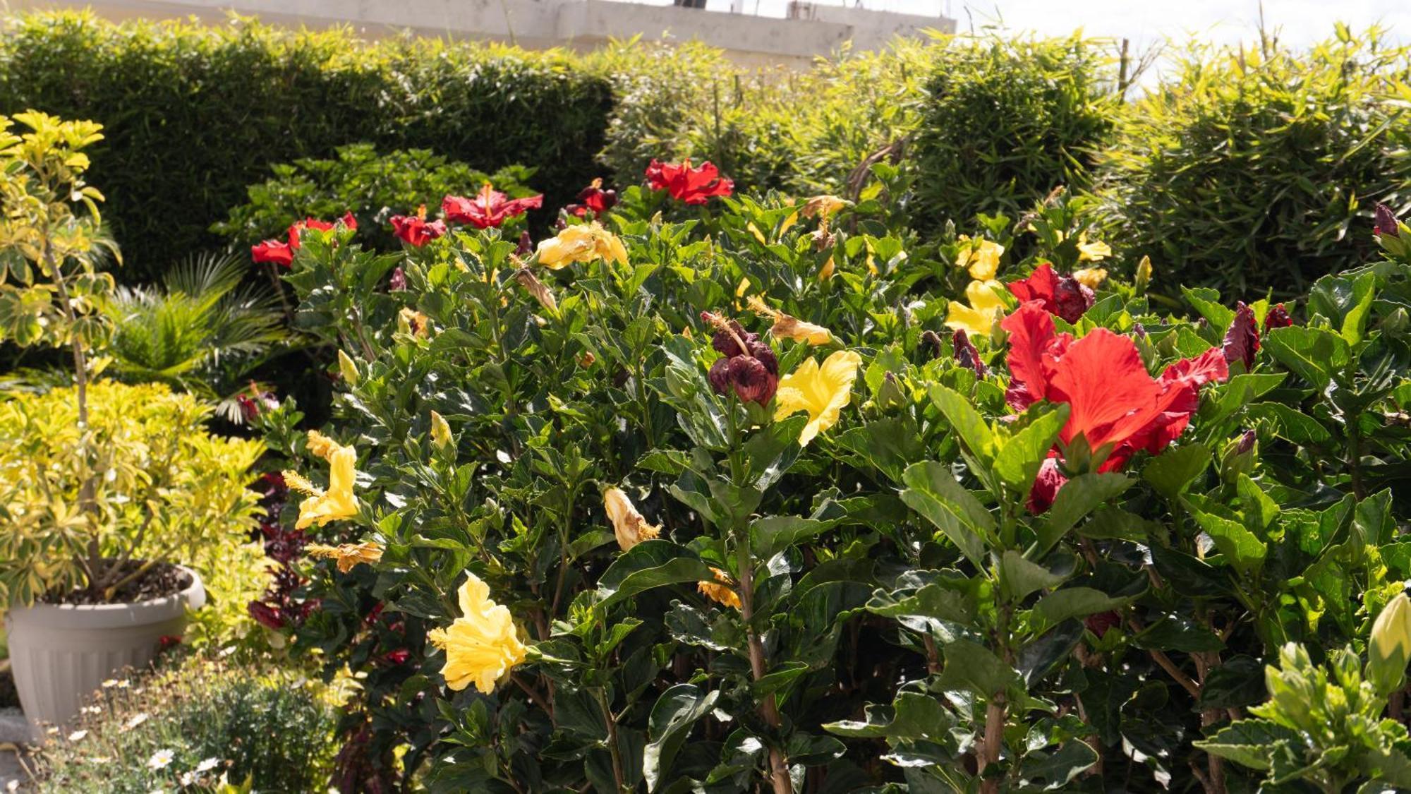 Hospedaje El Girasol Tababela Quito Kültér fotó
